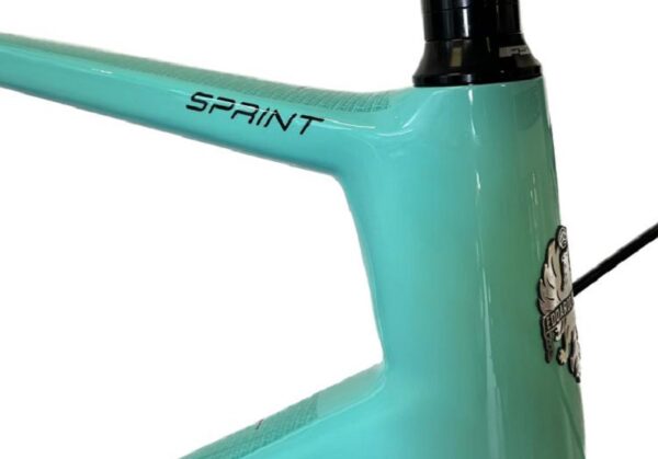 Bianchi-DI2-Celeste.jpg