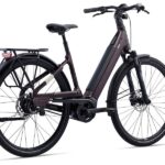 Elektrische-fiets-allure-rosewoord.jpg