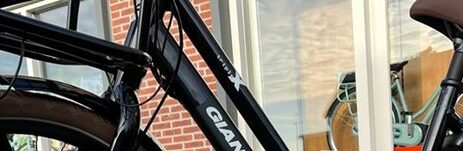 Elektrische-transportfiets