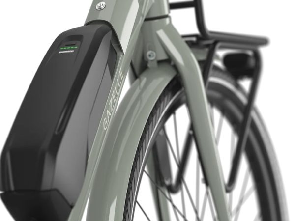 Gazelle-clay-green-bloom