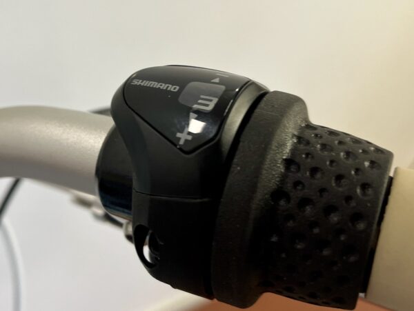 Skyride-20-inch-puky