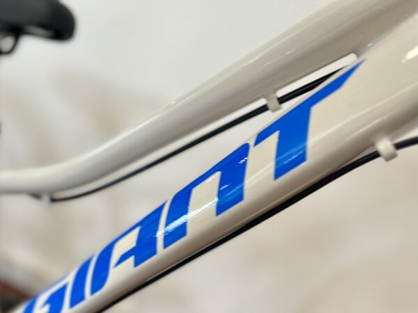 Giant-talon-20-inch-mountainbike