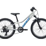 Giant-talon-20-inch-mountainbike