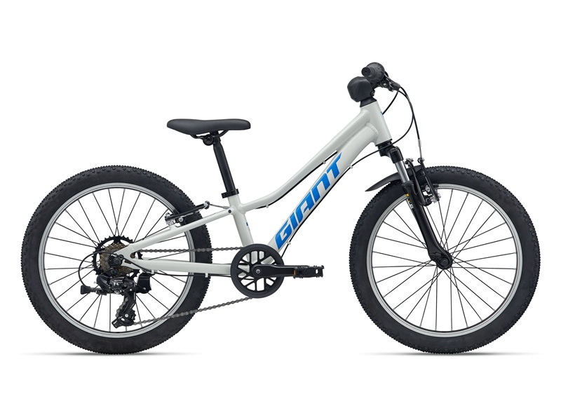 Giant-talon-20-inch-mountainbike
