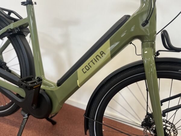 Moss-green-gloss-cortina