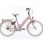 Lots-of-love-20-inch-bikefun