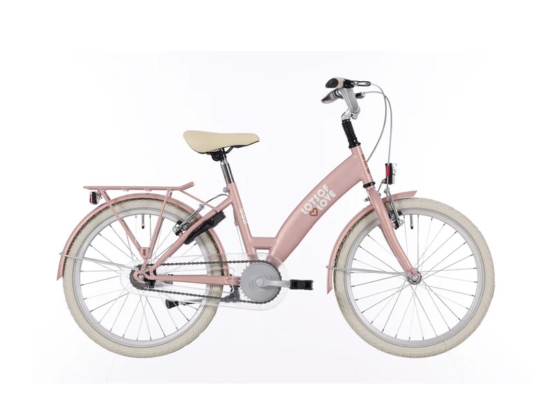 Lots-of-love-20-inch-bikefun