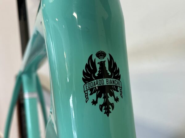 Celeste-bianchi-arcadex