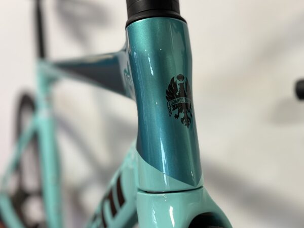 Bianchi-celeste-oltre-race