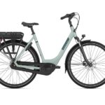 Gazelle-paris-light-olive