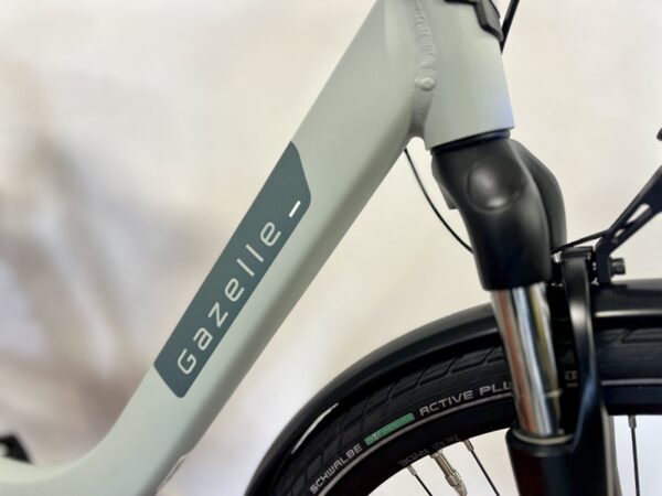 Light-olive-gazelle-paris