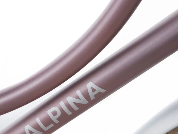 Alpina Cargo Meisjesfiets 22 Inch Wood Rose Matt - Afbeelding 2
