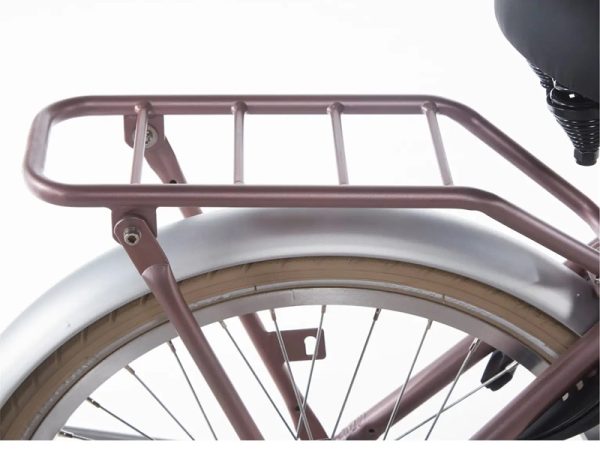 Alpina-22-inch-meisjesfiets