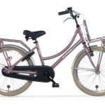 Cargo-Alpina-22-inch
