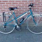 Giant Trooper Dames 50cm Mix 21V Petrol
