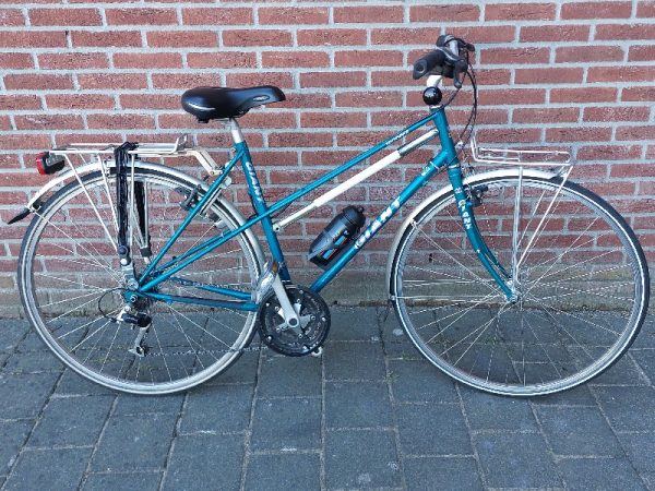 Giant Trooper Dames 50cm Mix 21V Petrol