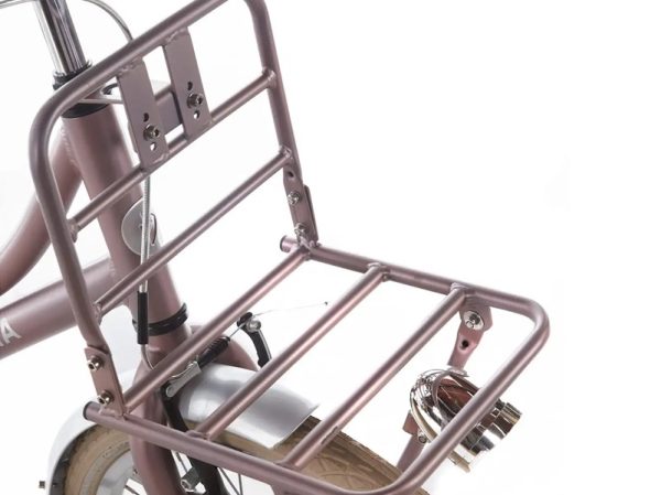 alpina-kinderfiets-meisjes-22-inch