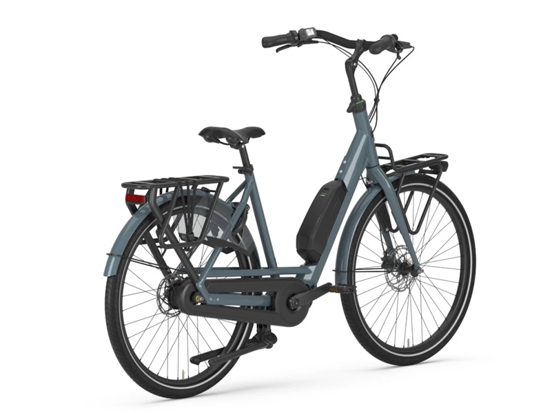 Gazelle-thunder-gray-bloom