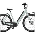 cortina-e-common-integrated-sea-grass-elektrische-fiets