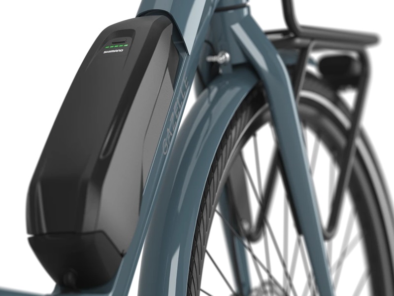 gazelle-bloom-hms-c7