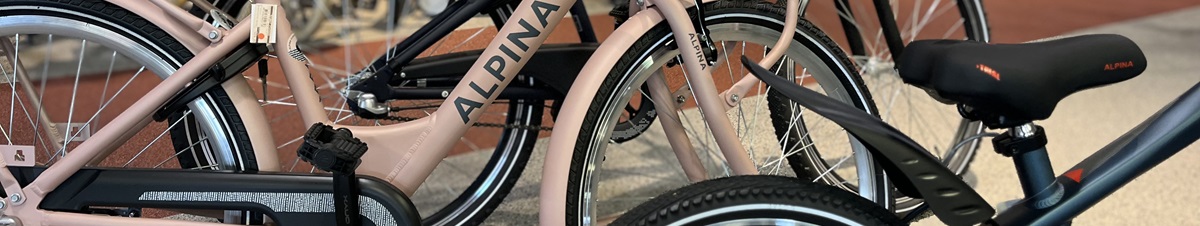 Alpina-Kinderfiets-kopen-online-en-in-winkel