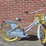Popal 24 Inch Transportfiets Grijs Geel