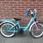 Alpina Twirl 20 Inch Remnaaf Blauw