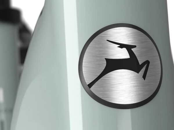 Gazelle-Grenoble-C8-elektrische-fiets