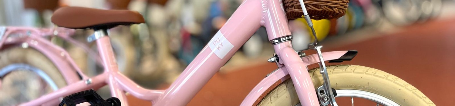 Service-tegoed-kinderfiets