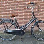Cortina Roots Transport Dames N7 50cm Zwart