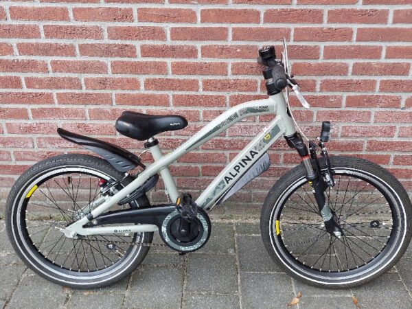 Alpina 20 Inch Trial Remnaaf Groen