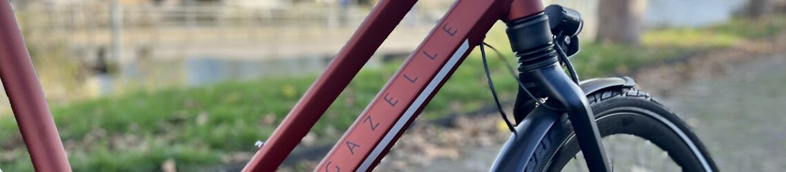 beoordeling-gazelle-chamonix-modellen