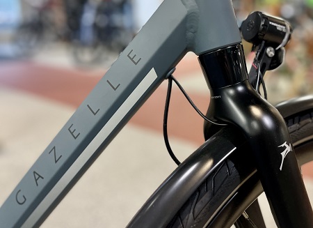 chamonix-t20-review-Gazelle