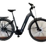 Bianchi-T-tronik-8.2-sage-green