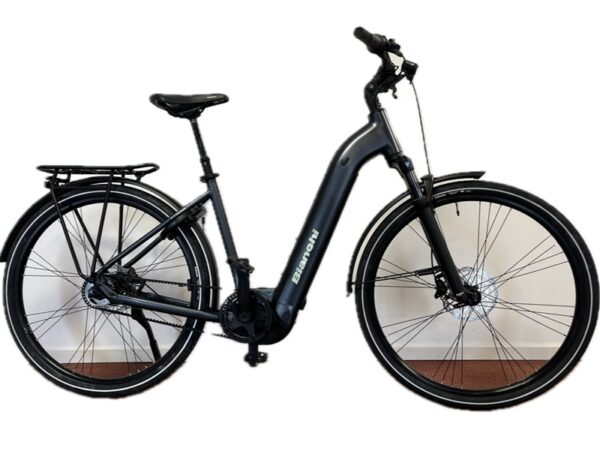 Bianchi-T-tronik-8.2-sage-green