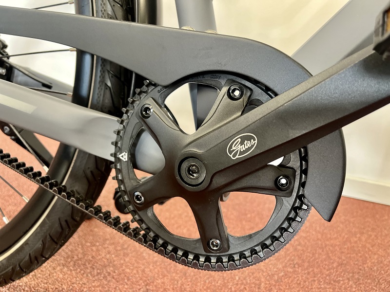 Chamoni9x-s11-gazelle