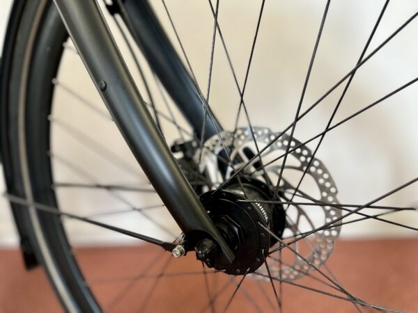 Gazelle-s11-chamonix