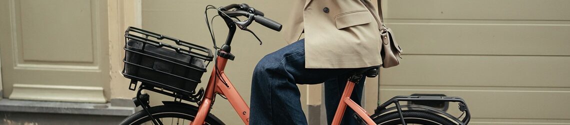 Review-Cortina-Common-en-Common-Family