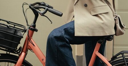 Review-Cortina-Common-en-Common-Family