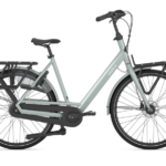 Gazelle-bloom-c7-olive