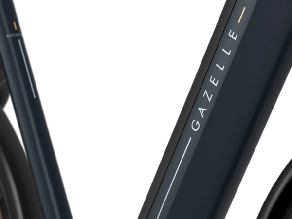 Grenoble-C8-elektrische-fiets