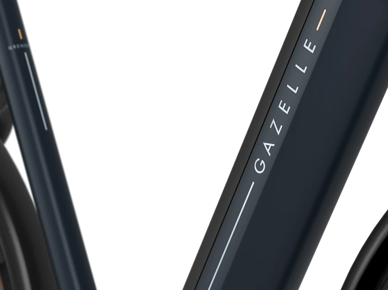 Grenoble-C8-elektrische-fiets