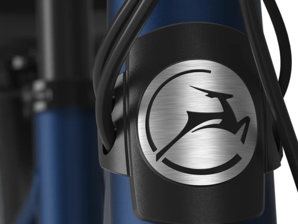 Kleine-gazelle-elektrische-fiets