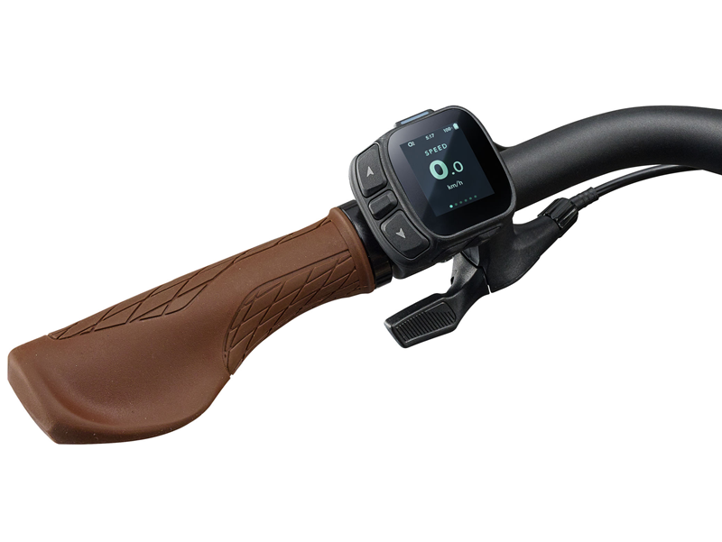 Liv-Allure-Black-diamond-E+-1