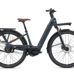 Liv-Allure-E+-1-black-diamond