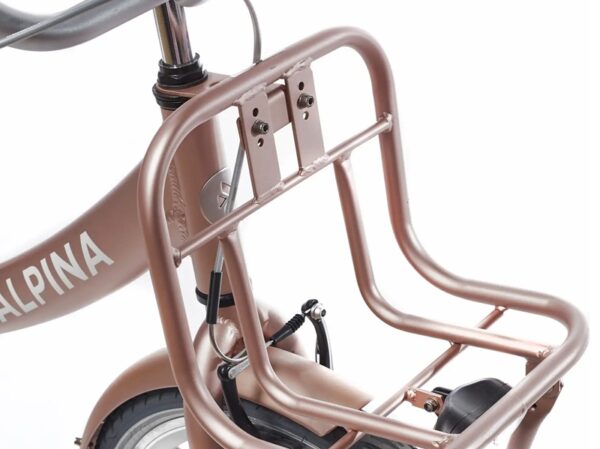 Alpina-22-inch-kinderfiets-roze
