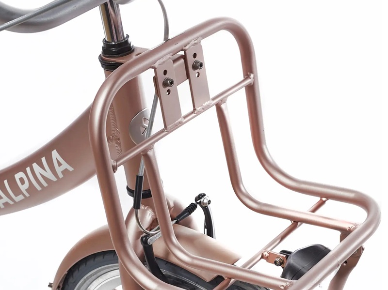 Alpina-22-inch-kinderfiets-roze