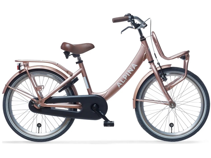Alpina-clubb-22-inch-roze