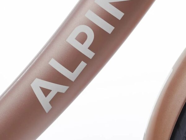 Clubb-alpina-22-inch-kinderfiets