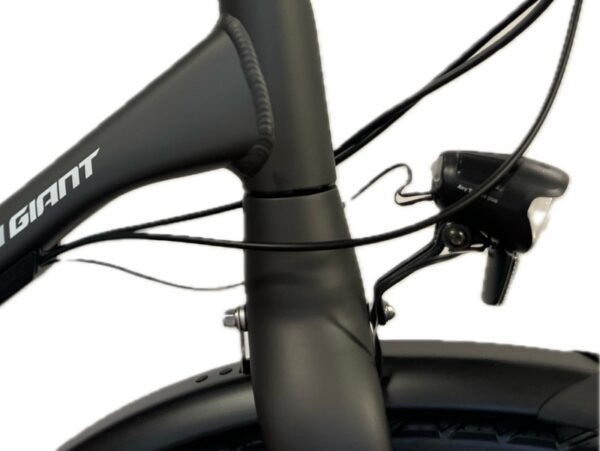 Giant-anytour-cs2-beltdrive-fiets